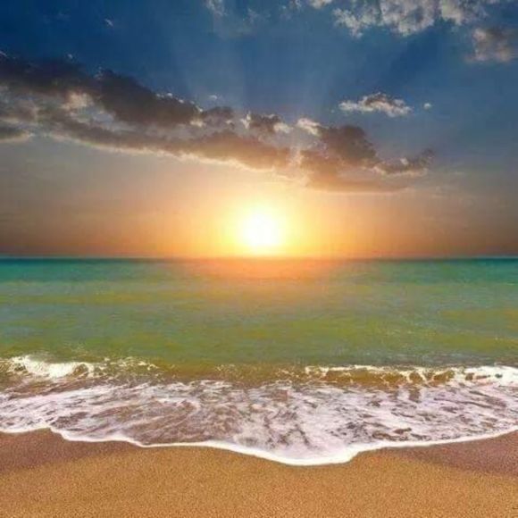 Meet your Posher, Nicole - Picture 1 of 1